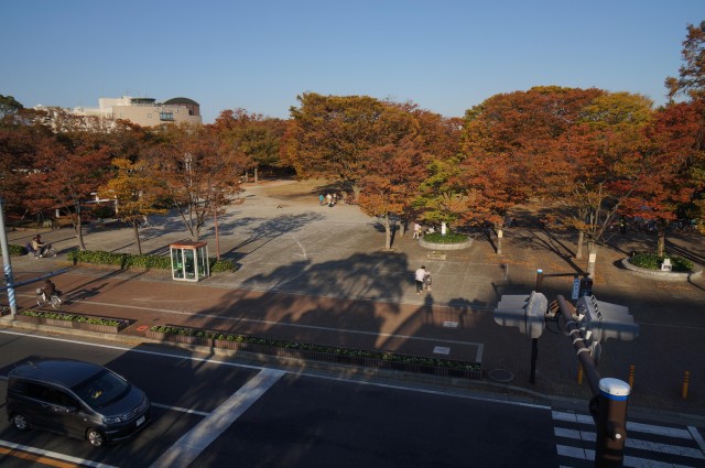 歩道橋から見た中央公園西側