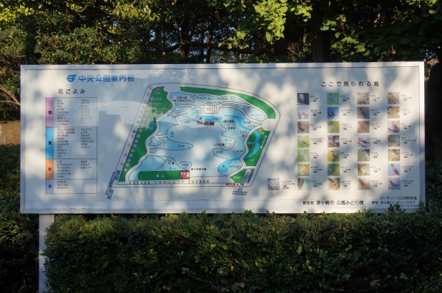 中央公園案内板