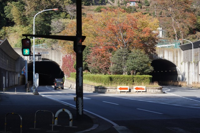 大庭トンネル南口の紅葉