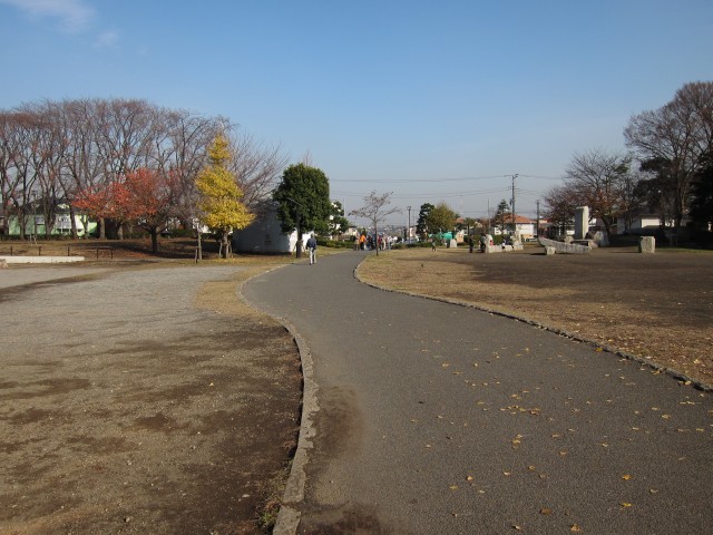 公園中央の道