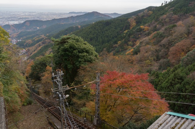 駅から見る紅葉