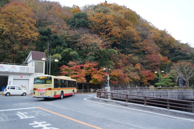 大山ケーブルバス停の紅葉・全景