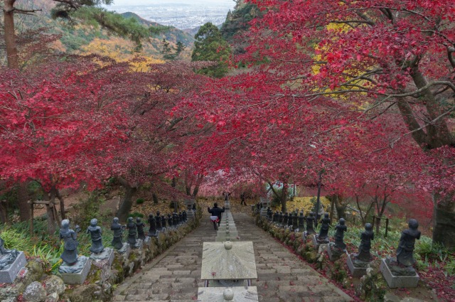 本堂前の紅葉