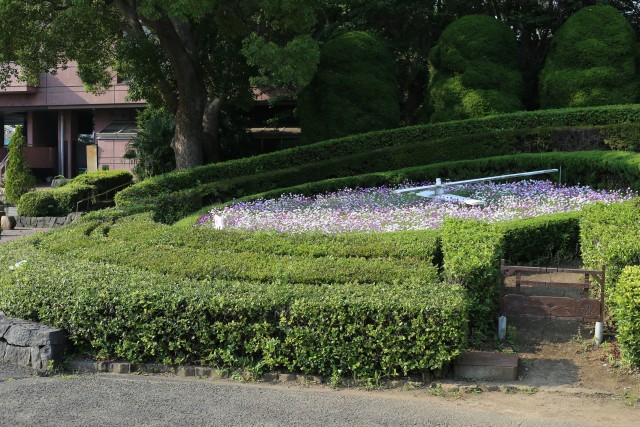 花時計