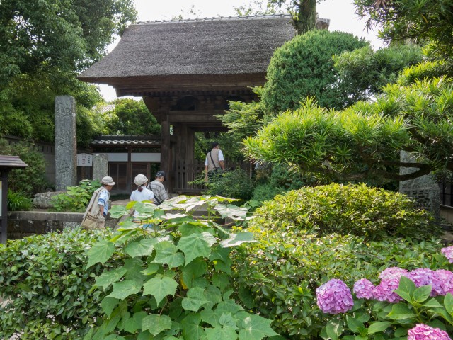 極楽寺の山門