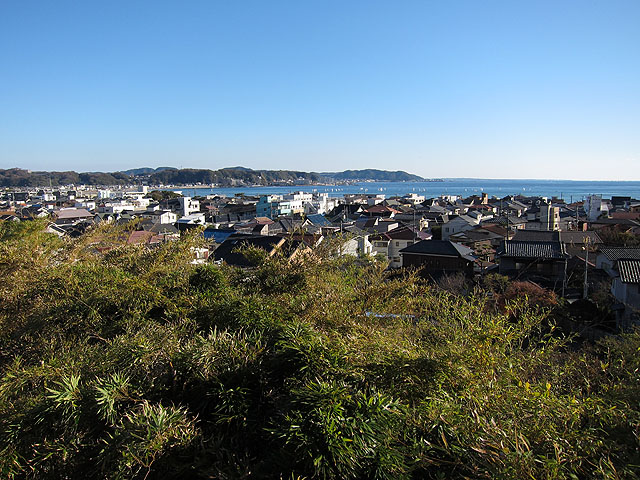 相模湾の眺め