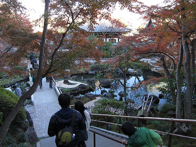 紅葉と池