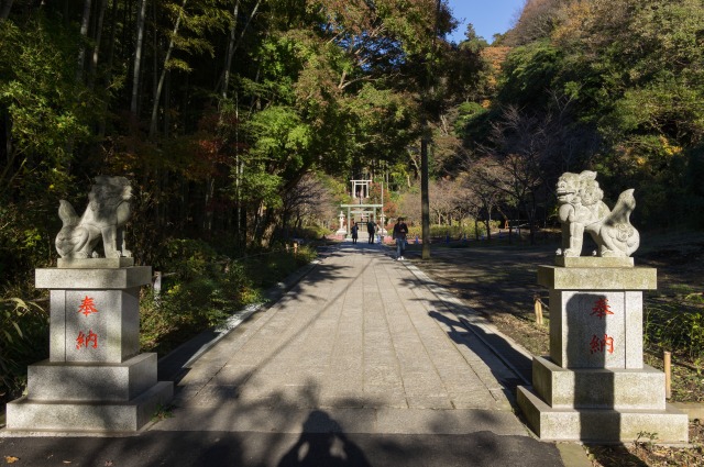 半僧坊へ通じる階段の入口