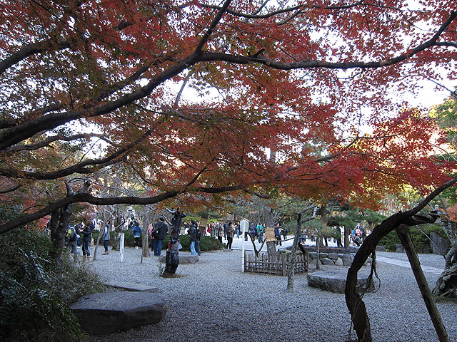 紅葉が綺麗