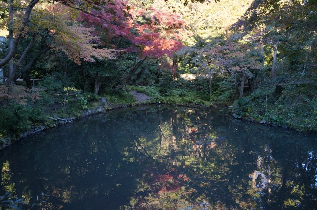 柳原神池の紅葉