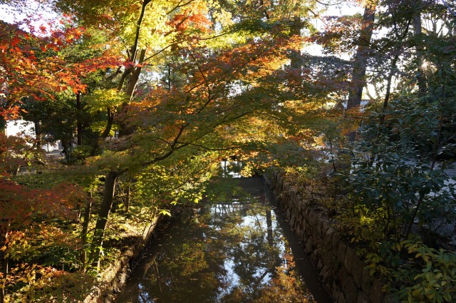 水路にある紅葉