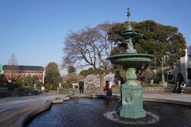 公園南側の噴水