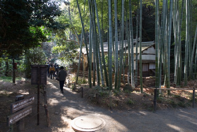 蓮華院