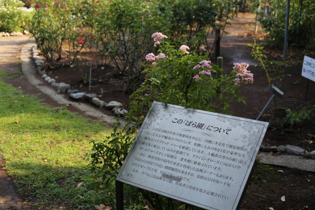 神奈川県立大船フラワーセンター